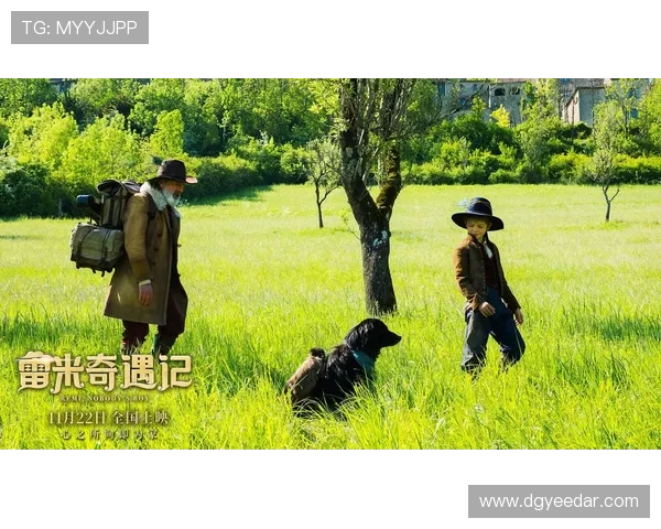 足球巨星与爱犬的深厚情谊如何展现他们的温情与生活态度